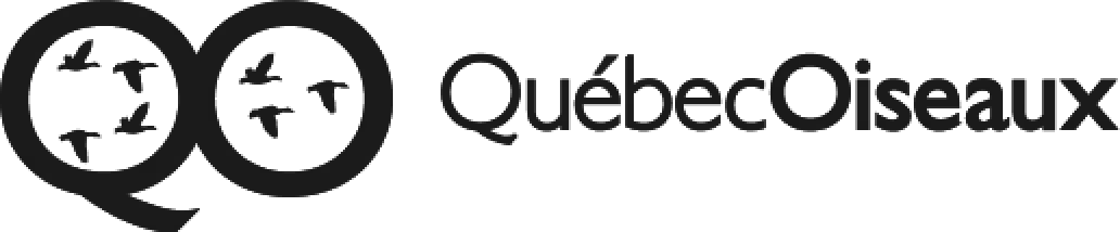 QuébecOiseaux Logo