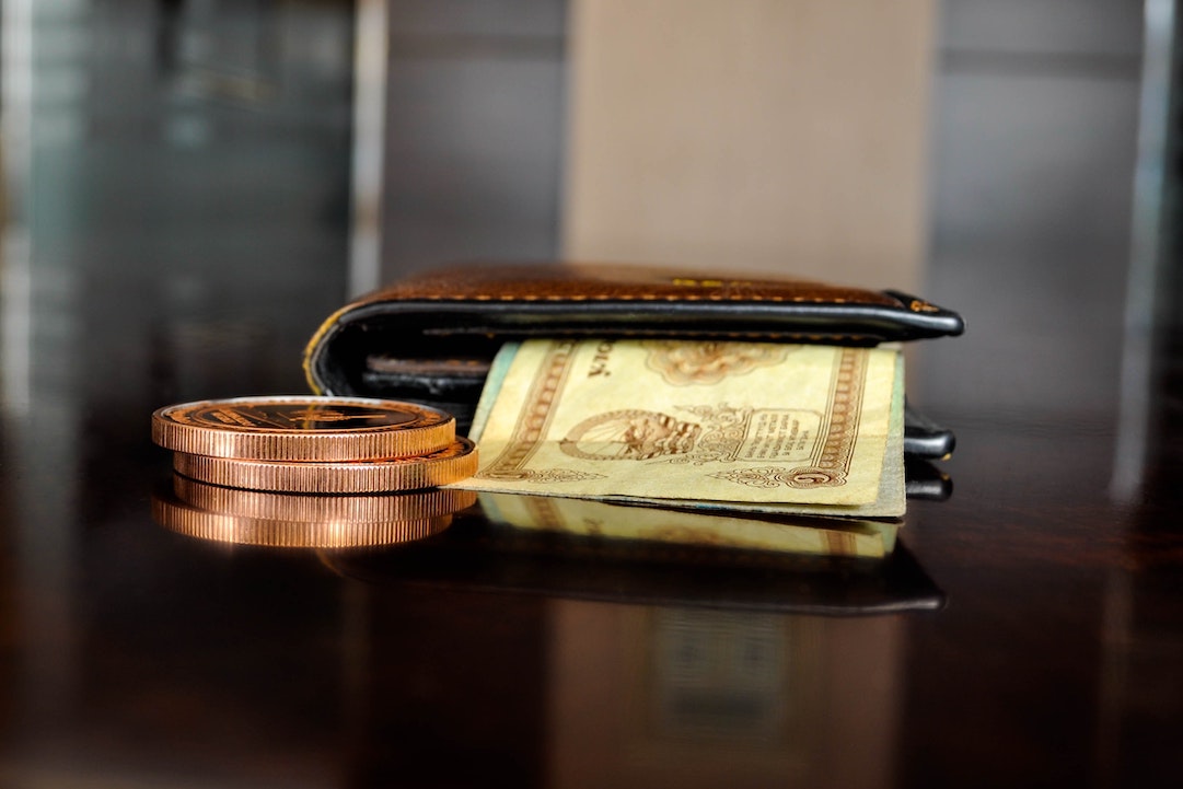 Web Hosting Providers - photograph of a wallet